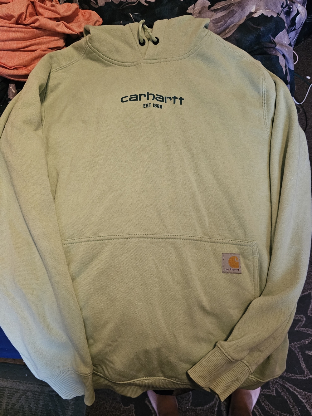 Carhartt Men’s Sage Green Logo Hoodie
